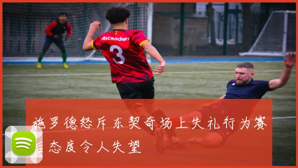 施罗德怒斥东契奇场上失礼行为赛后态度令人失望