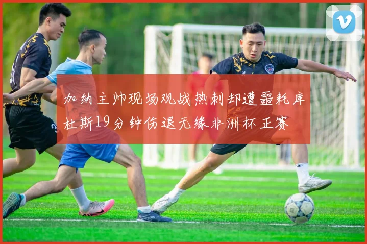 加纳主帅现场观战热刺却遭噩耗库杜斯19分钟伤退无缘非洲杯正赛